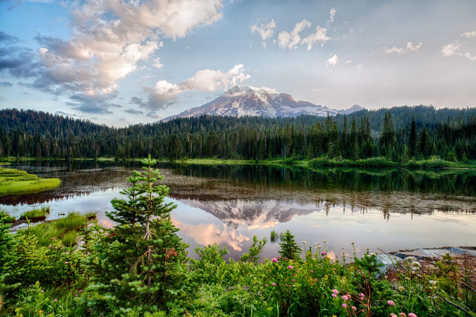 Mt Rainier and Reflection Lake at sunrise and wildflowers blooming
